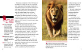 Face to Face with Lions: Level 5 (National Geographic Readers) - The English Bookshop Kuwait